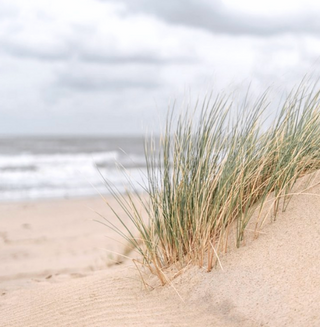 Saltvand til håret - sexede strandhår helt uden strand