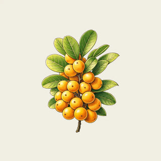 Oway Ultimate Moisture & Repair Kit