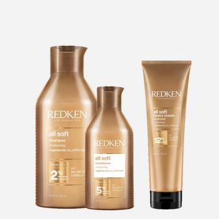 Redken All Soft Care Kit