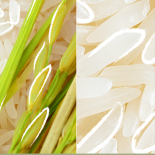 KMS Add Volume Shampoo 300 ml - Shampoo