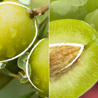 KMS Allsmooth Weightless Anti_Frizz Serum 100 ml - Hårserum